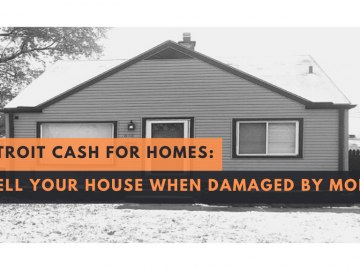 Detroit Cash For Homes: Sell Your House When Damaged by Mold