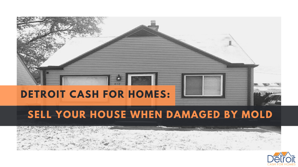 Detroit Cash For Homes: Sell Your House When Damaged by Mold