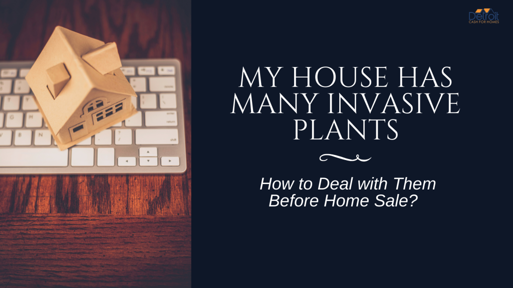 My House has Many Invasive Plants: How to Deal with Them Before Home Sale?