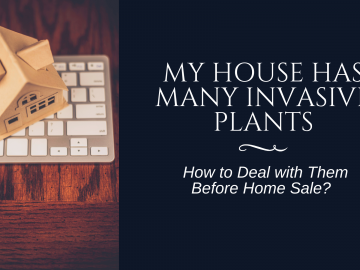 My House has Many Invasive Plants: How to Deal with Them Before Home Sale?